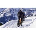 Fatbike
